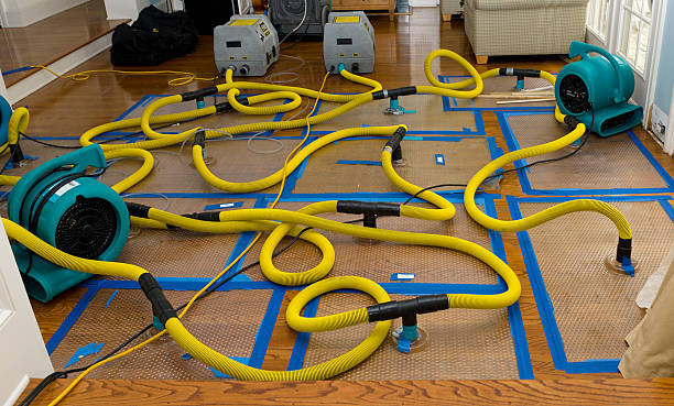 Professional Flood Damage Restoration technician working in Ledbetter, KY